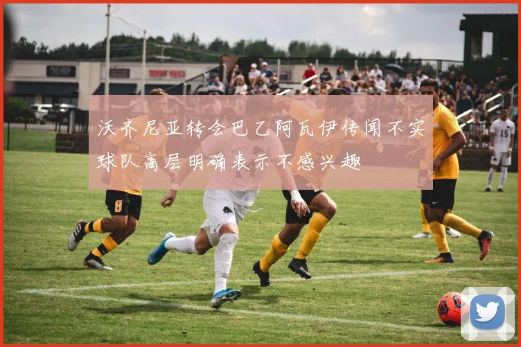 沃齐尼亚转会巴乙阿瓦伊传闻不实球队高层明确表示不感兴趣
