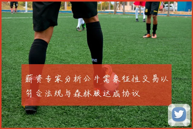 薪资专家分析公牛需象征性交易以符合法规与森林狼达成协议